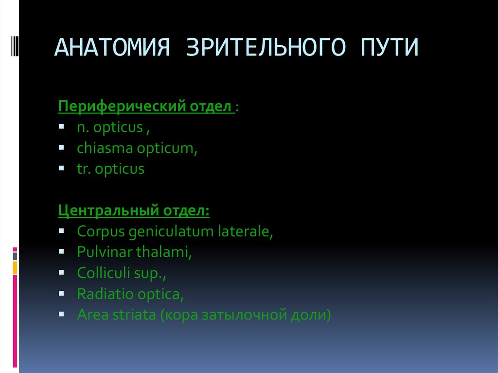 Пути анатомия. Центральный и периферический путь убеждения.