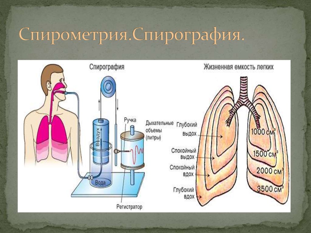 Функциональный дыхательный тест. Спирометрия и спирография. Спирометрия органов дыхания. Методы оценки внешнего дыхания. Дыхательные функциональные пробы.