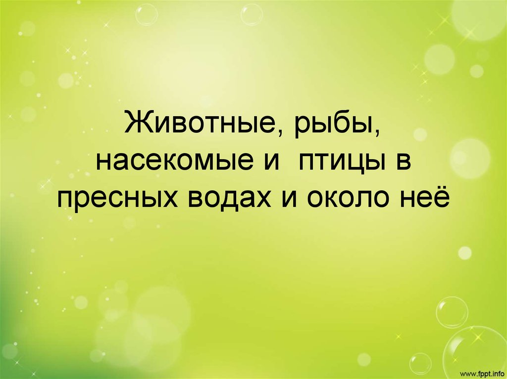 Животные, рыбы, насекомые и птицы в пресных водах и около неё