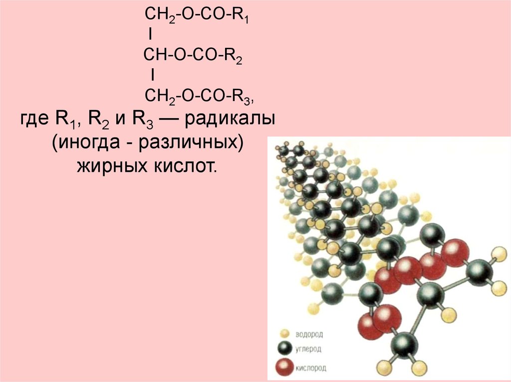 Жиры мыла презентация