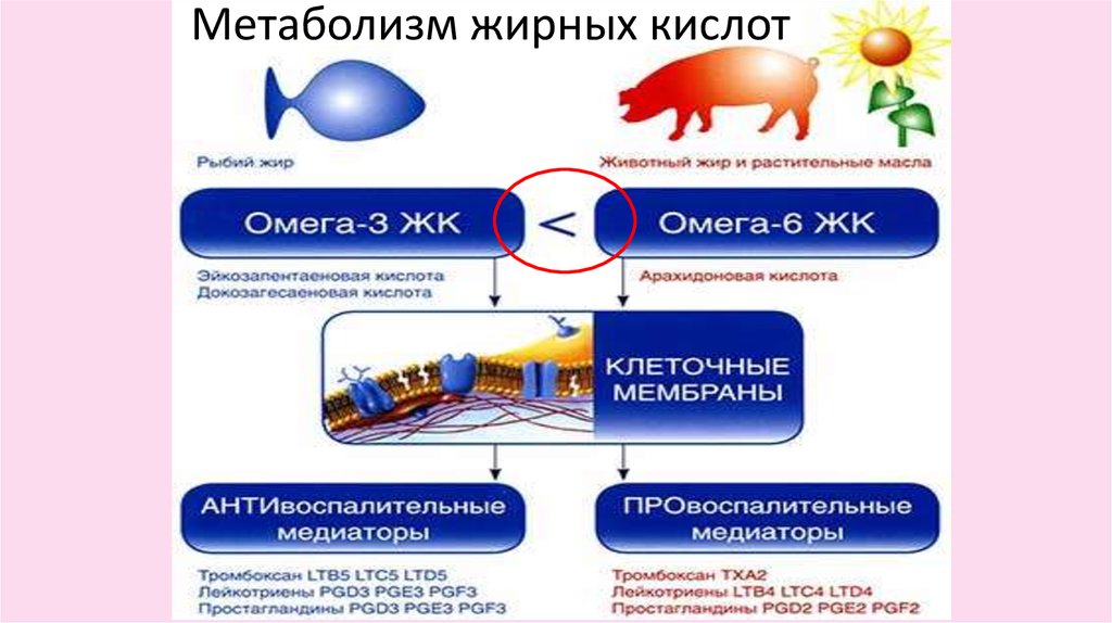 Кислота для обмена веществ. Полиненасыщенные жирные кислоты w-3 w-6 биохимия. Омега-3 и Омега-6 жирные кислоты биохимия. Источник Омега 6 жиров кислот. Незаменимые жирные кислот (полиненасыщенные жирные кислоты).