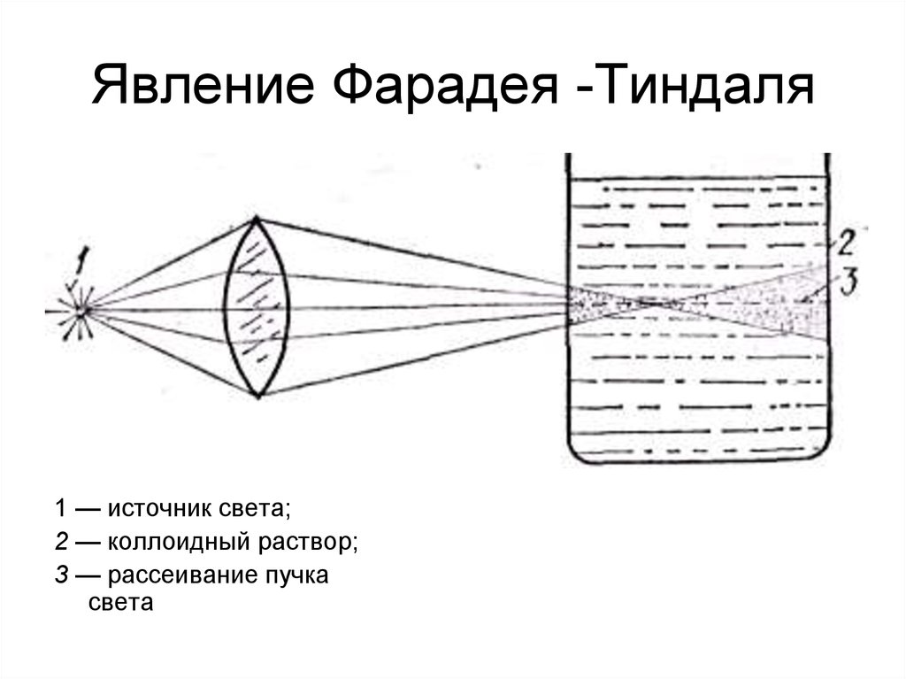 Укажите рисунок иллюстрирующий эффект тиндаля в коллоидном и истинном растворах