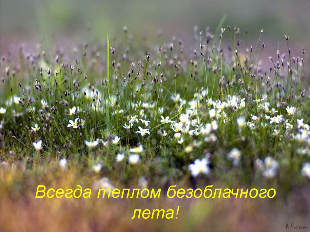 Всегда теплом безоблачного лета!