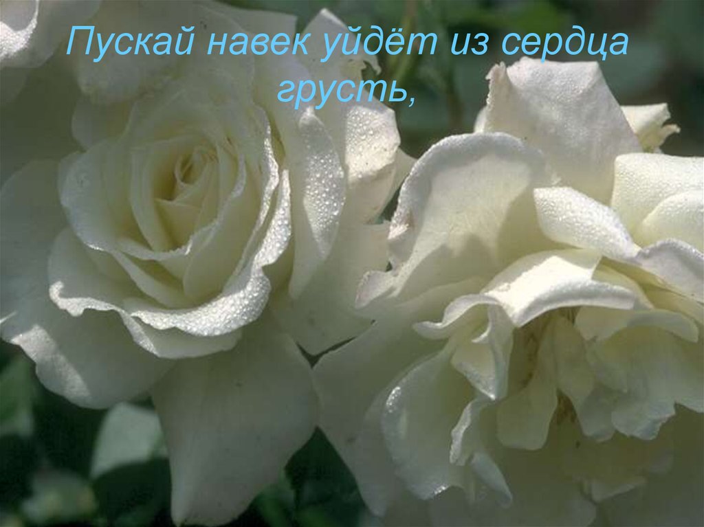 Пускай навек уйдёт из сердца грусть,