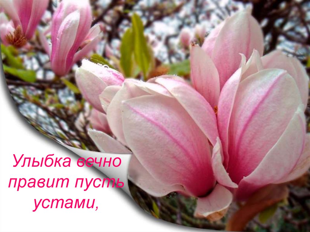 Улыбка вечно правит пусть устами,