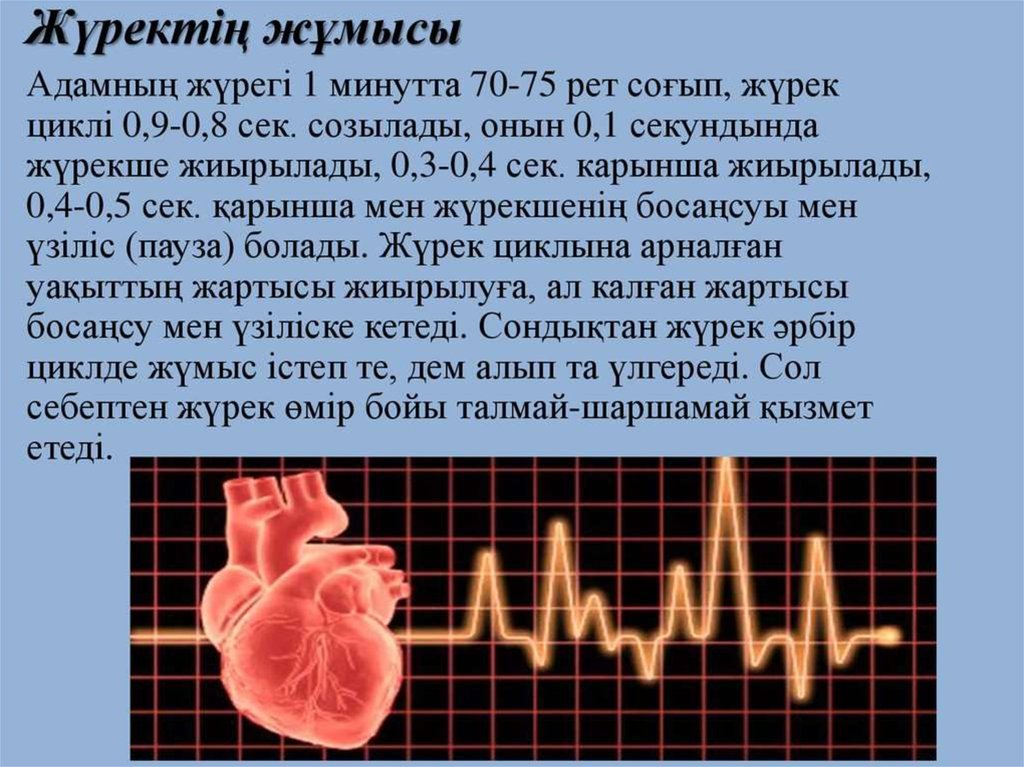 Жүрек автоматиясының механизмі презентация