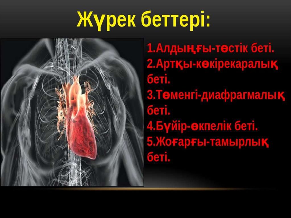 Жүрек автоматиясының механизмі презентация