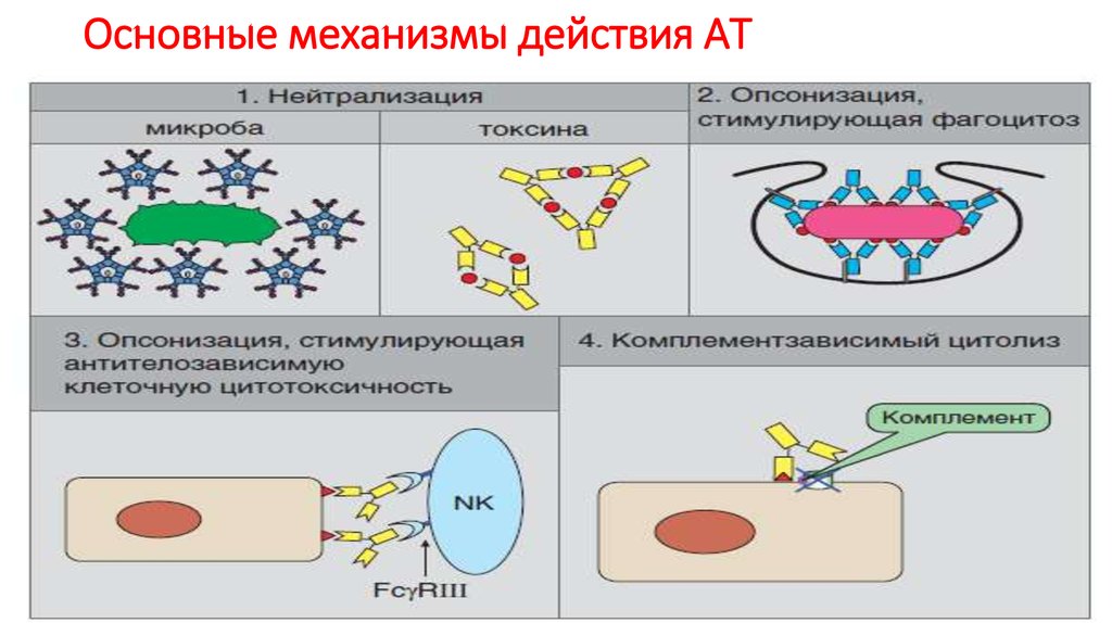 Какие основные механизмы