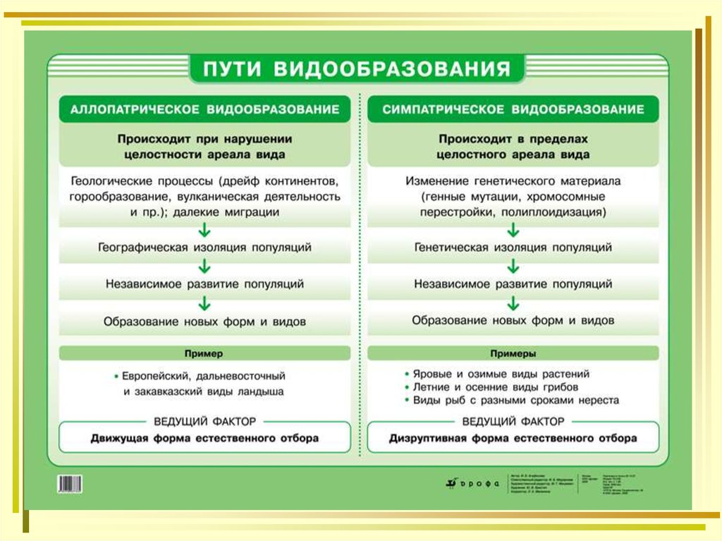 Приведите примеры путей. Способы видообразования схема. Схема экологического видообразования. Факторы видообразования биология. Формы видообразования биология 11 класс.