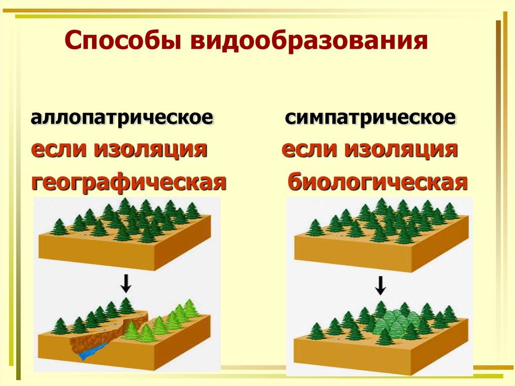 Видообразование в природе схема