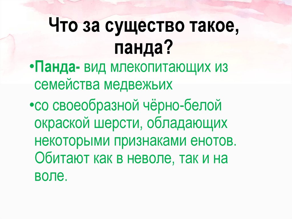 Что за существо такое, панда?