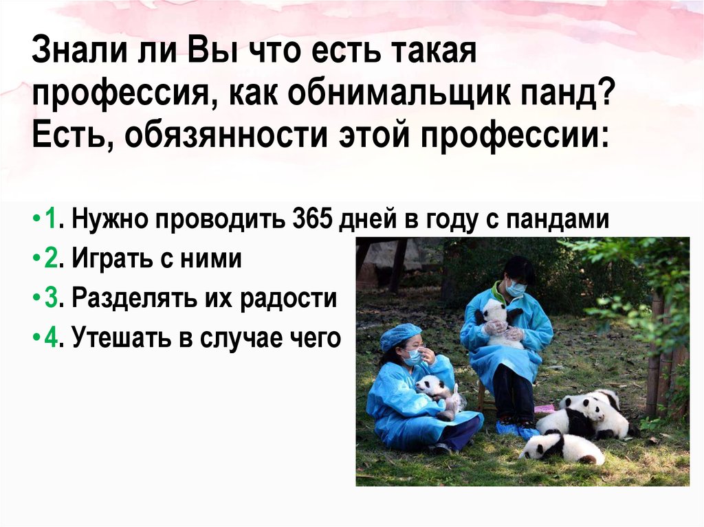 Знали ли Вы что есть такая профессия, как обнимальщик панд? Есть, обязянности этой профессии: