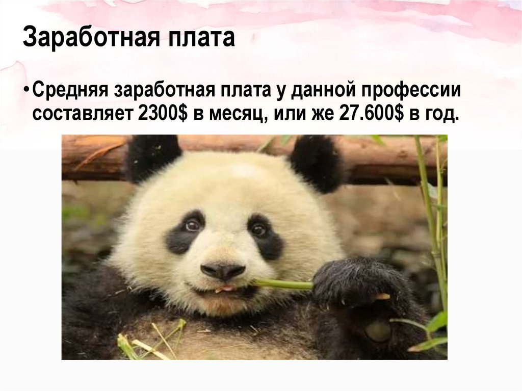 Заработная плата