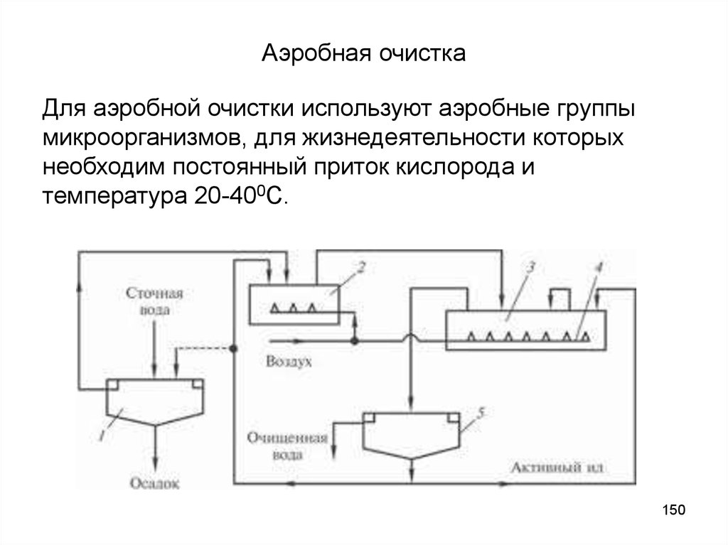 Аэробный метод. Аэробный стабилизатор схема. Аэробный стабилизатор осадка схема. Аэробный стабилизатор для очистки сточных вод. Схема аэробной стабилизации осадка.