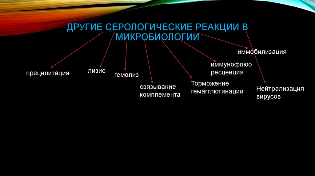 Серологические реакции микробиология презентация