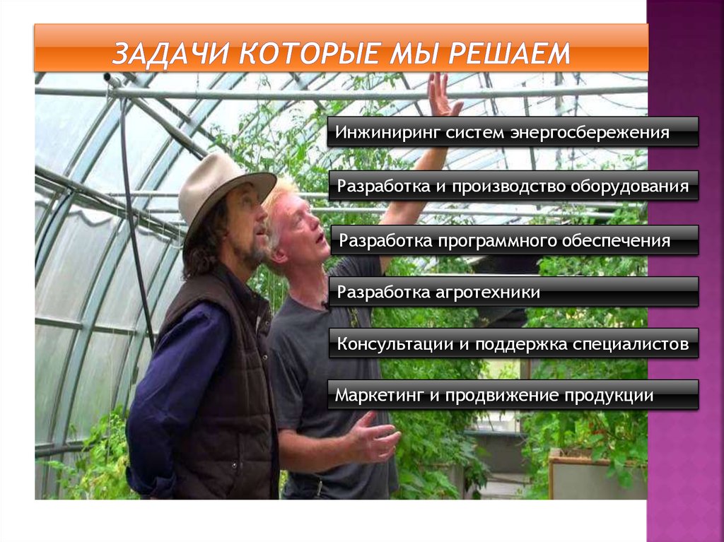 Задачи которые мы решаем