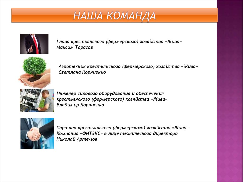 Наша команда