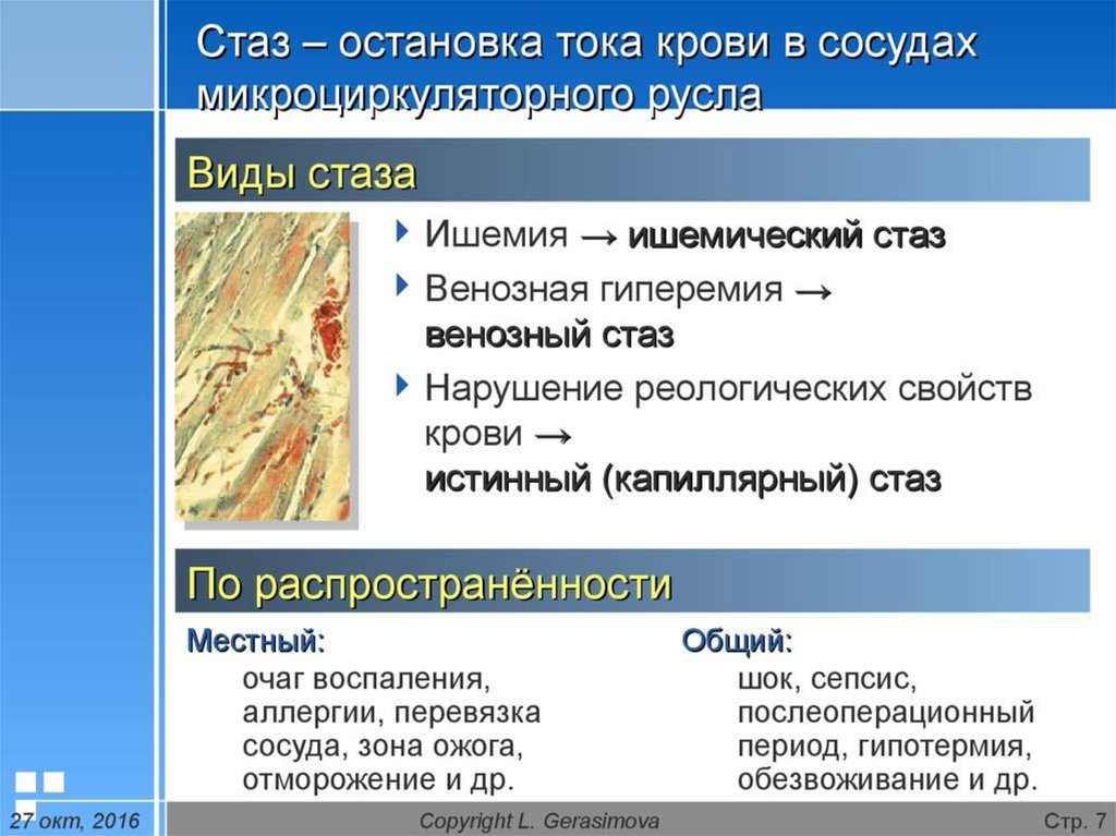 Реология крови презентация