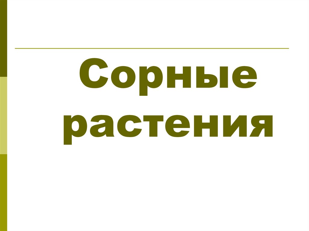 Сорные растения презентация