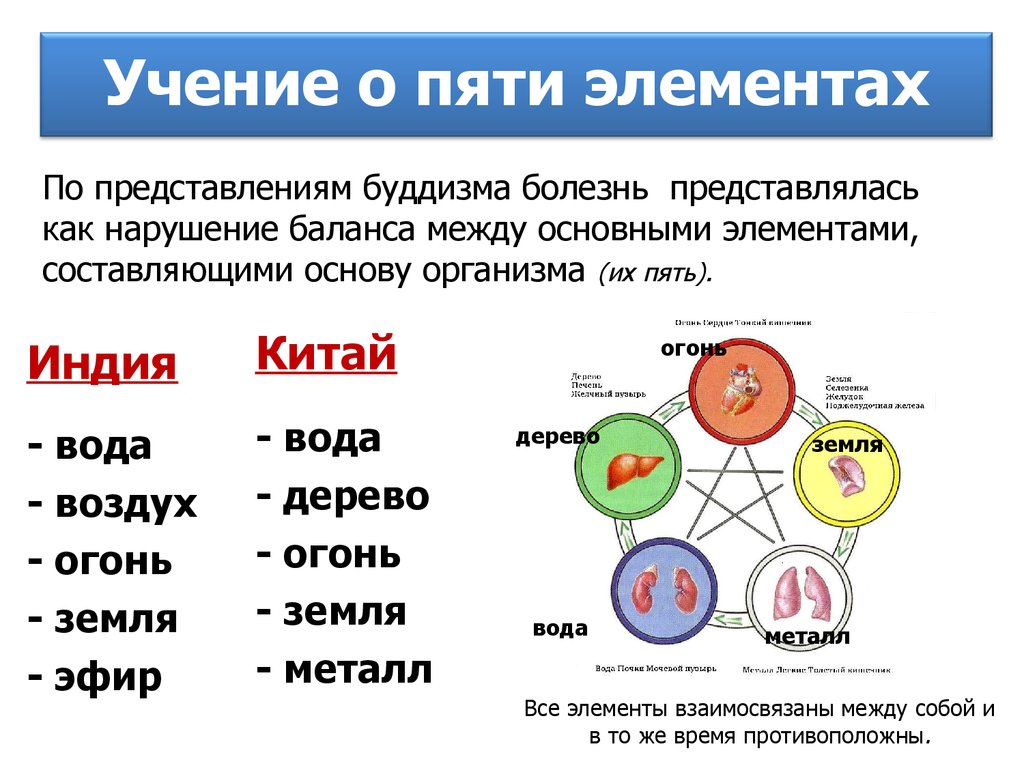 Каждый отдельный организм 5 букв