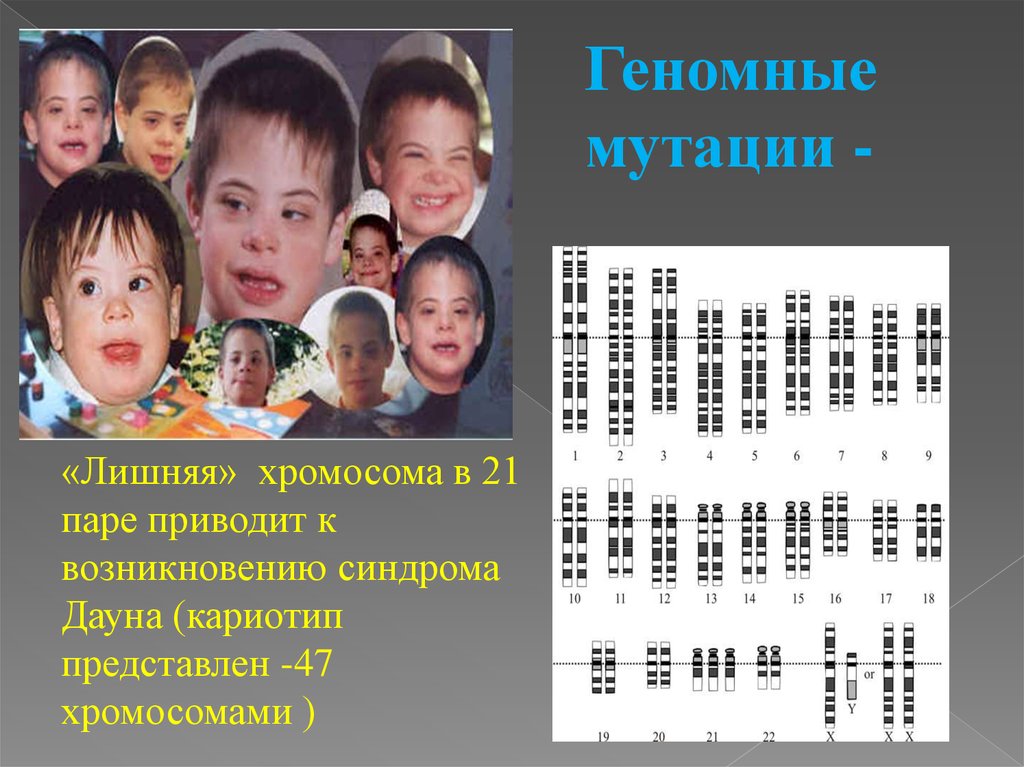 Генеративные мутации презентация