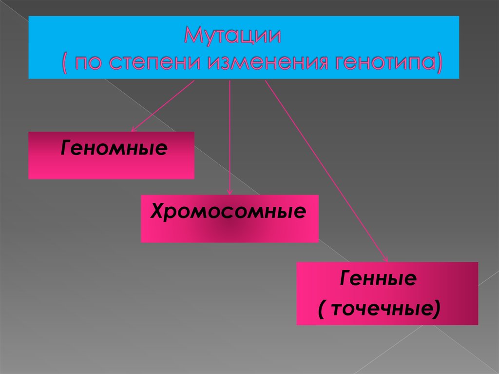 Причины мутаций соматические и генеративные мутации презентация 10 класс