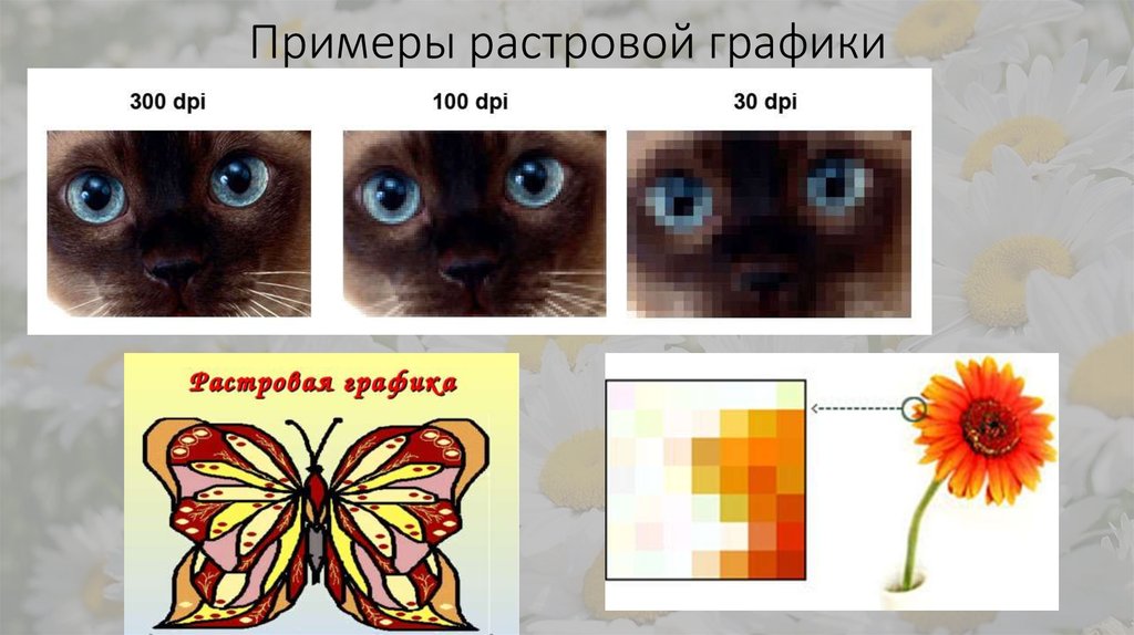 Формат изображения векторной графики