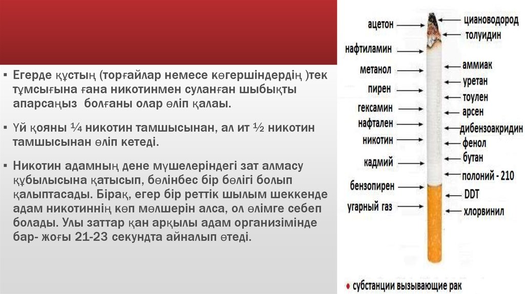 Электронды темекінің зияны презентация