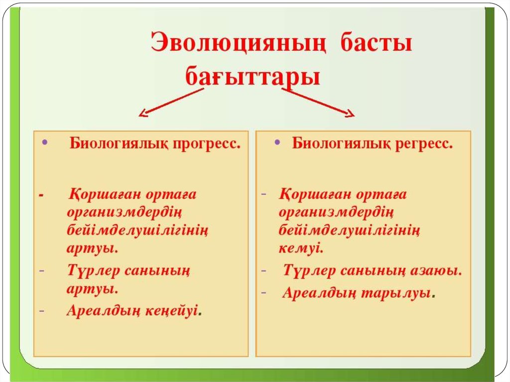 Түр түзілу презентация