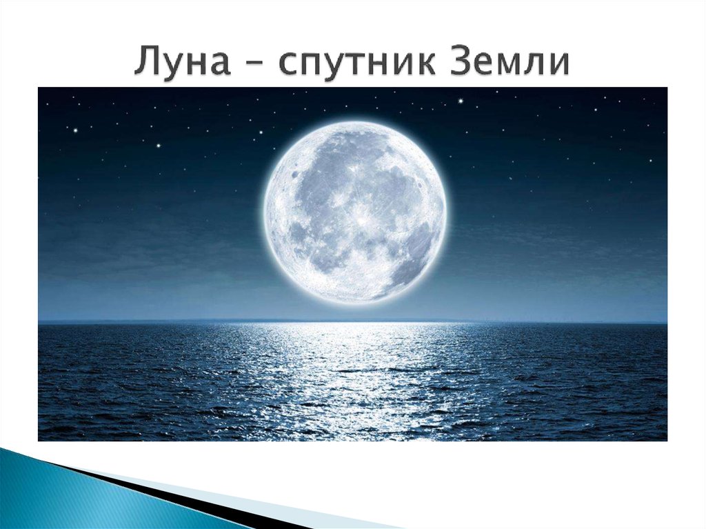 Проект лунный город