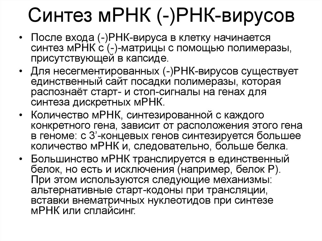 Синтез м. Синтез МРНК. Синтез м РНК. Синтез информационной РНК. Синтез матричной РНК.