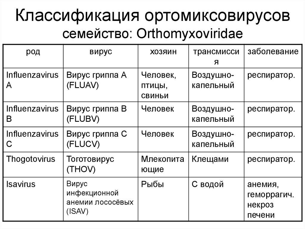 Роды категории а и б. Классификация вирусов микробиология. Ортомиксовирусы микробиология строение. Вирус гриппа микробиология таблица. Ортомиксовирусы классификация общая характеристика.