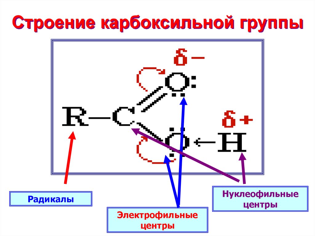 Атом углерода карбоксильной группы. Строение первой карбоксильной группы. Строение карбоновых кислот. Строение карбоксильной функциональной группы. Структура карбоксильной группы.