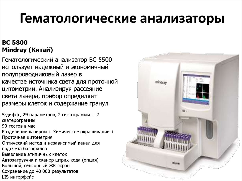 Анализатор текста