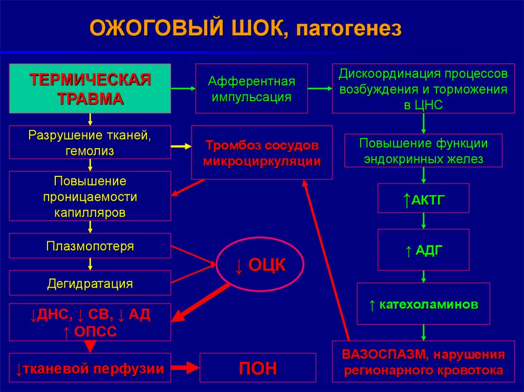 Патофизиология в схемах и таблицах 2 часть