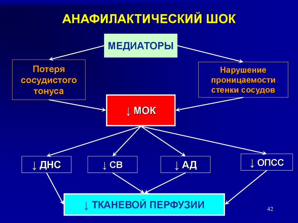 Анафилактический шок презентация казакша