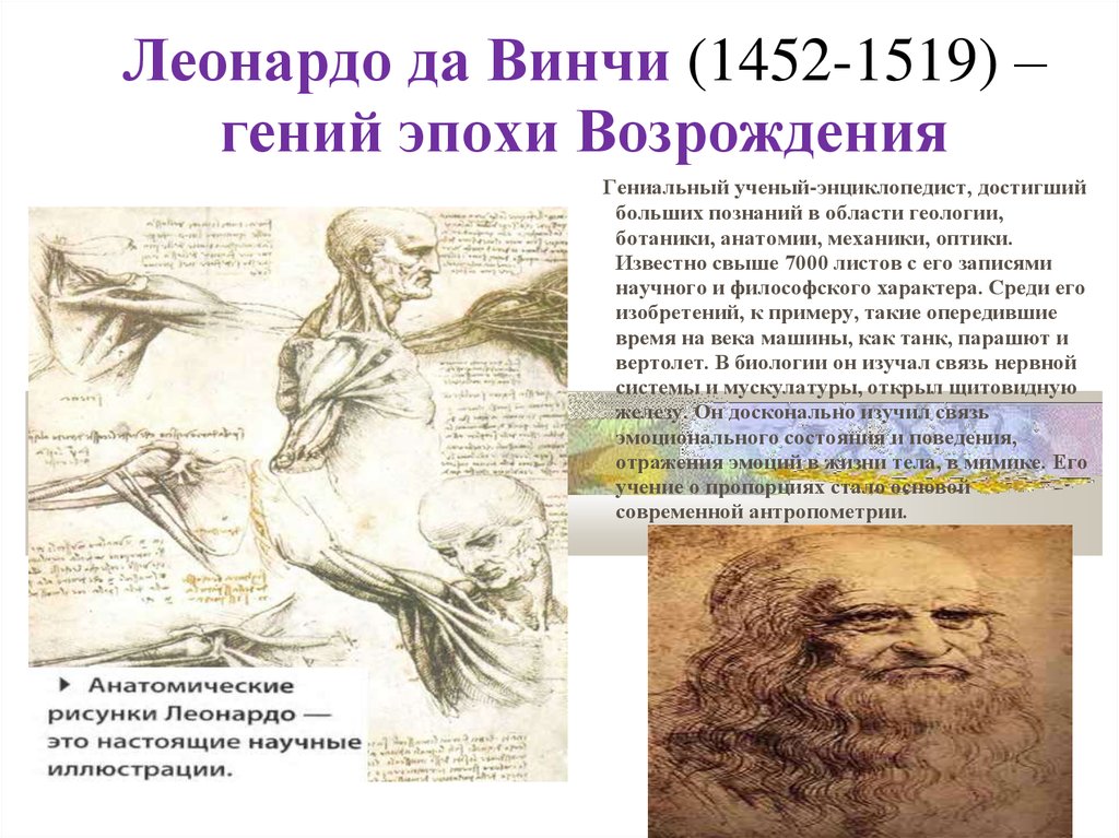 Какой орган леонардо да винчи. Эпоха Возрождения Давинчи. Леонардо да Винчи 1452. Леонардо да Винчи ученый. Леонардо да Винчи (1452 – 1509).