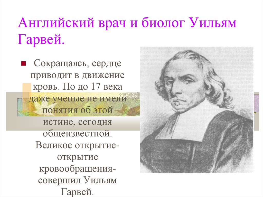 Даже ученые. Ученые биологи Уильям Гарвей. Английский учёный врач Уильям Гарвей. Уильям Гарвей открытия. Английские врачи.