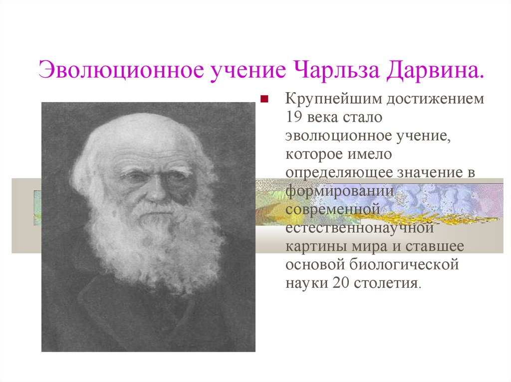 Эволюция учения. Дарвин основатель эволюционного учения. Эволюционное учение Чарльза Дарвина. Чарлз Дарвин – основоположник учения об эволюции.. Достижения науки 19 века Чарльз Дарвин.