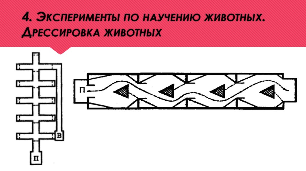 Картина максимова книжное научение