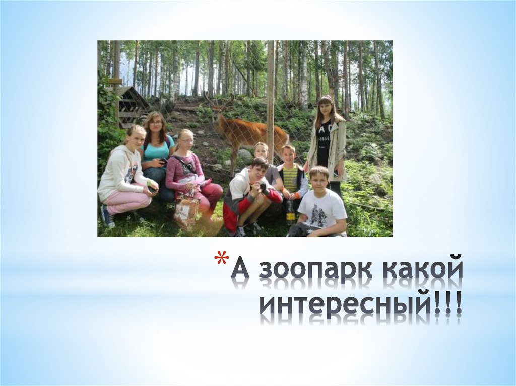 А зоопарк какой интересный!!!
