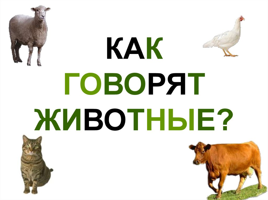 Звуки животных и картинки для детей