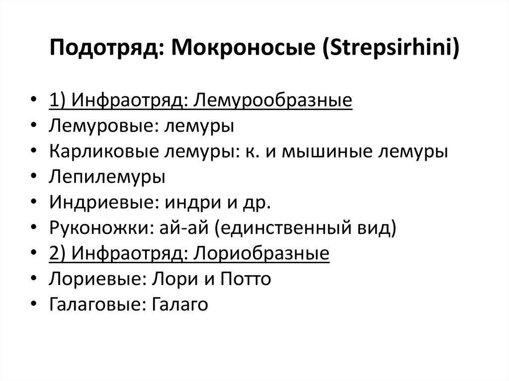 Подотряд. Подотряд человека. К подотряду Dyspnoi. Подотряд СМИ. Подотряд Opisthocoela.