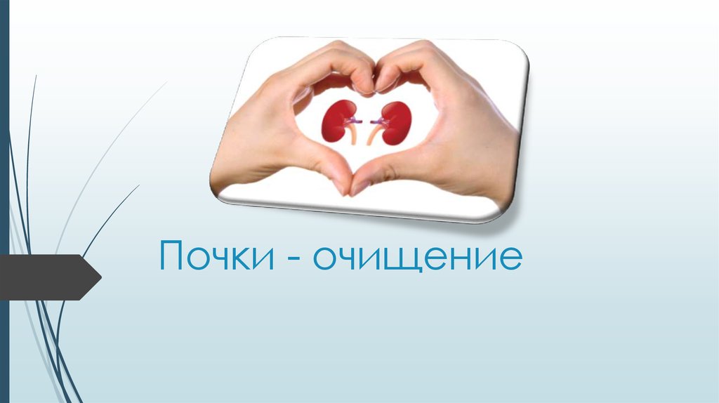Почки - очищение - презентация онлайн