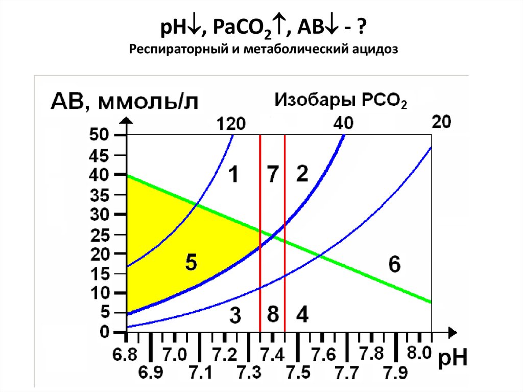 Метаболический и респираторный ацидоз