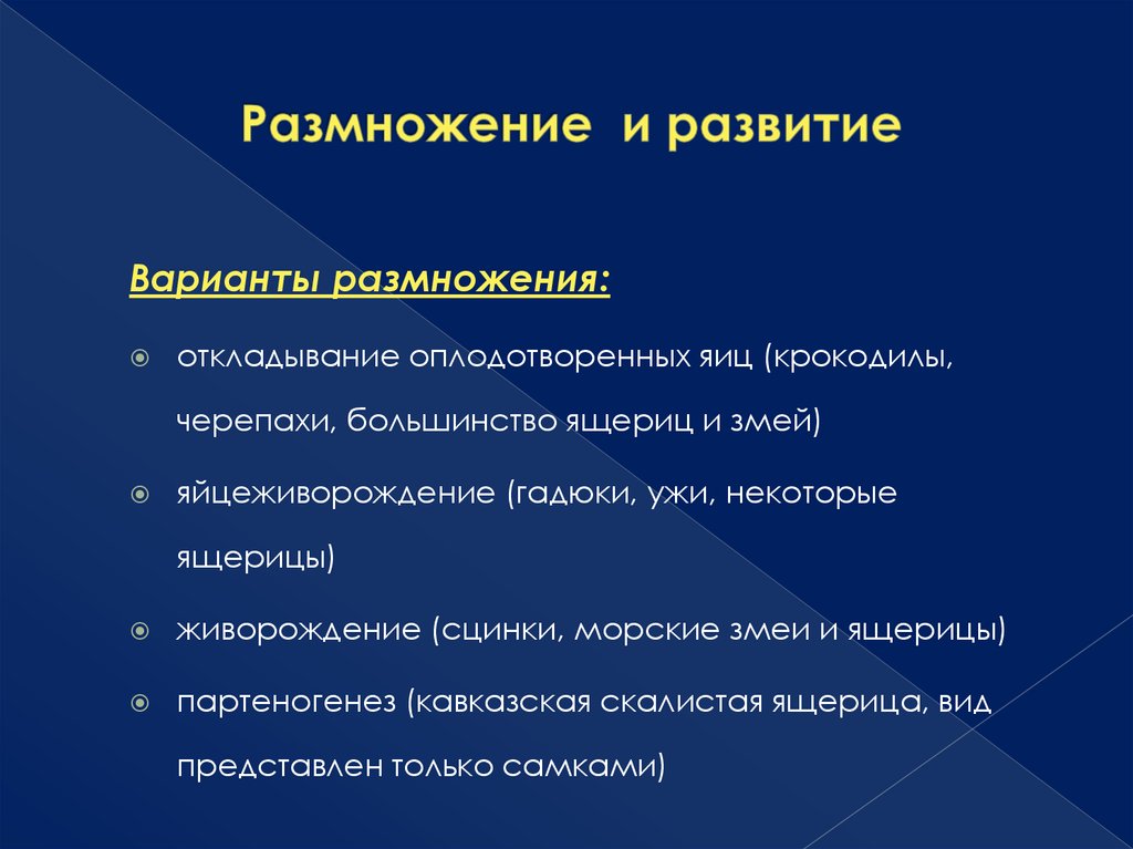 Размножение и развитие