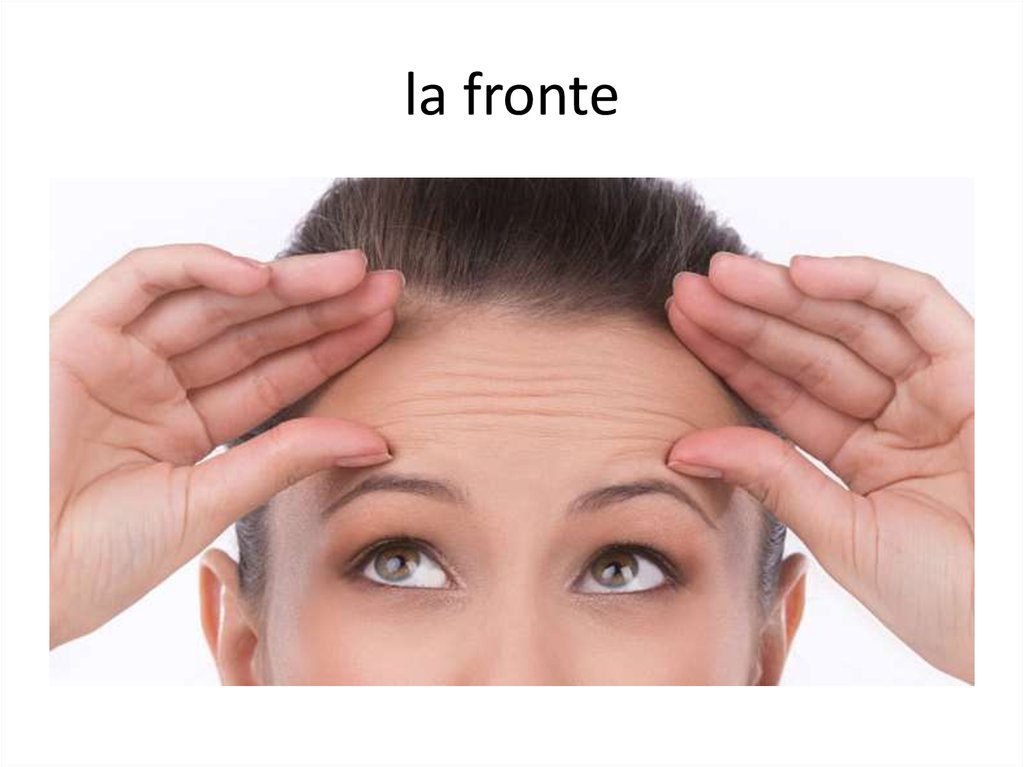 la fronte