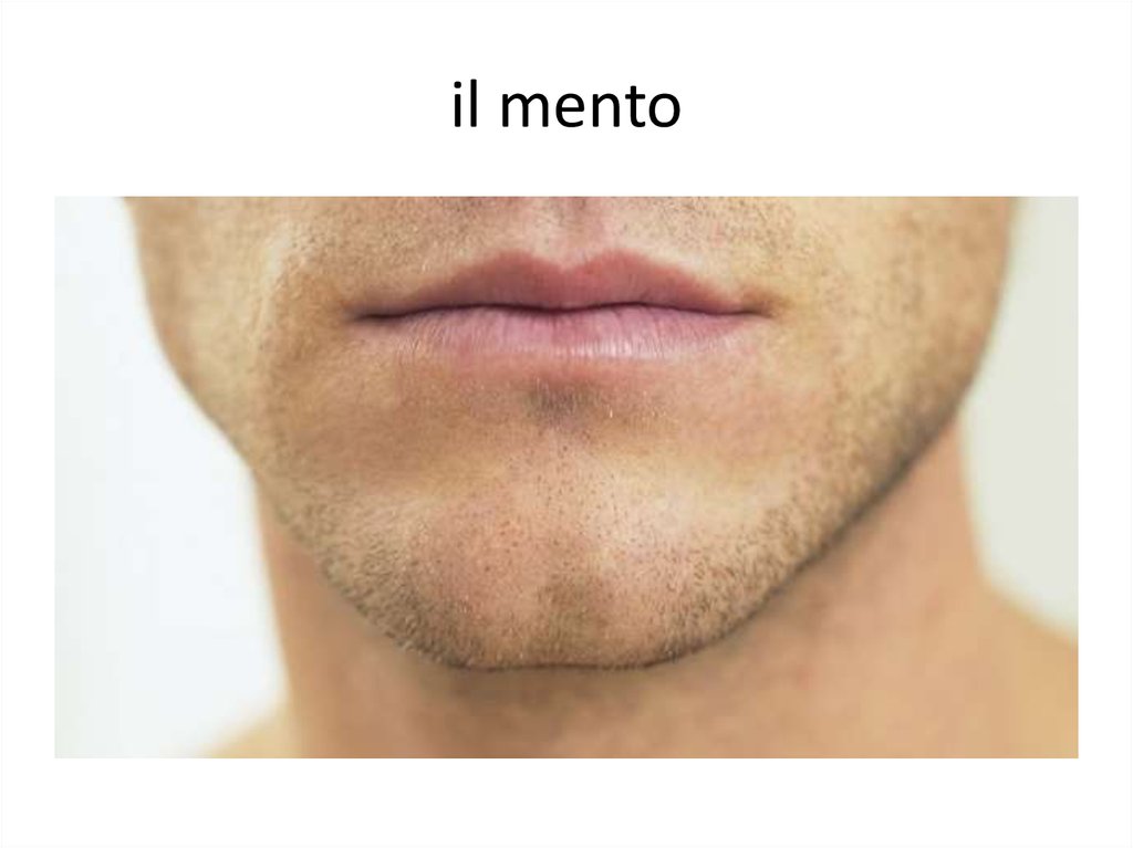 il mento