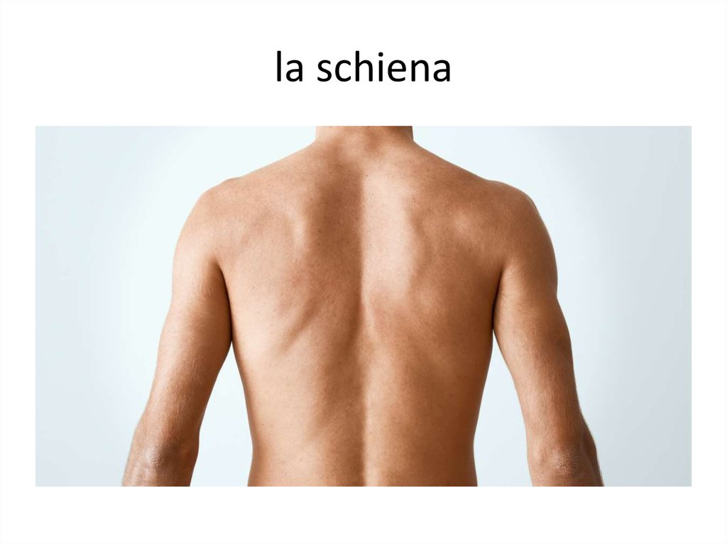 la schiena