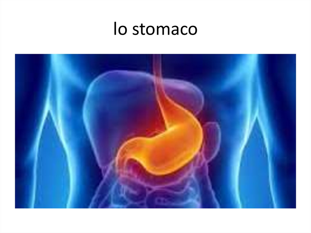 lo stomaco